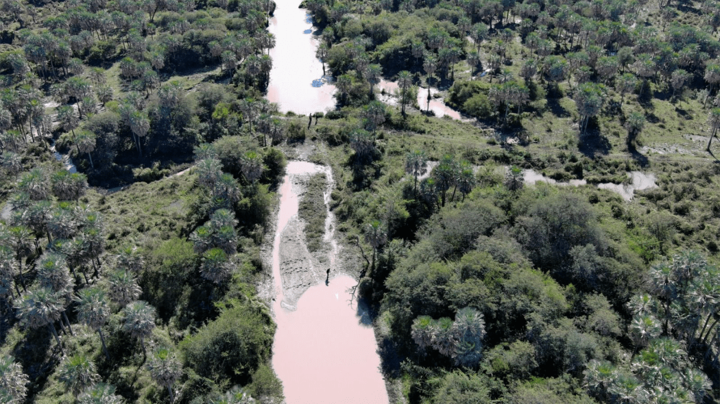 Río Muerto