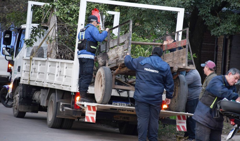 servicio de flete con caballos