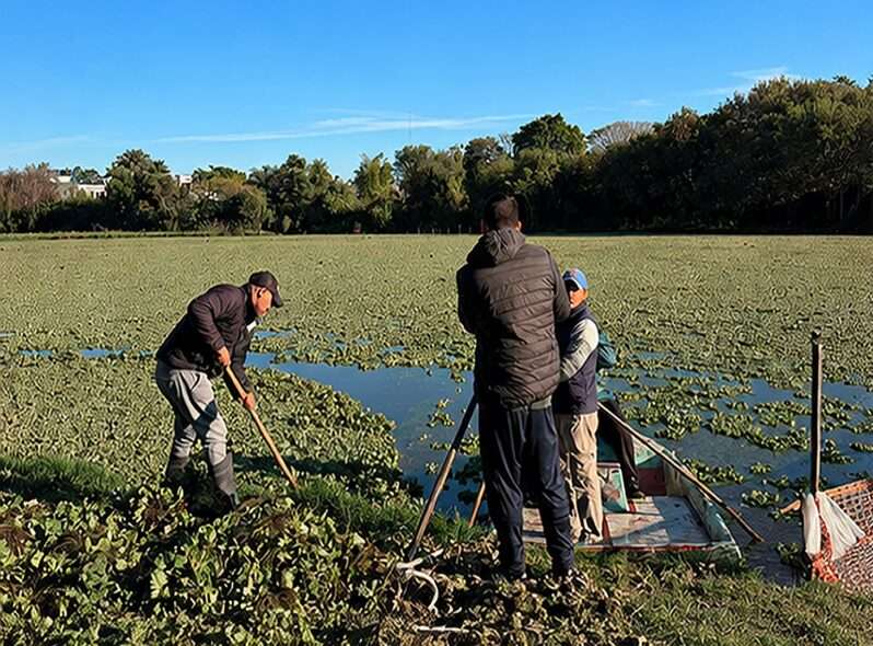 APA control de lagunas