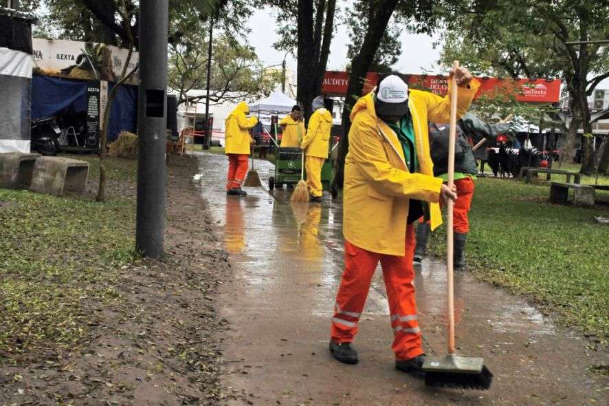Bienal lluvia