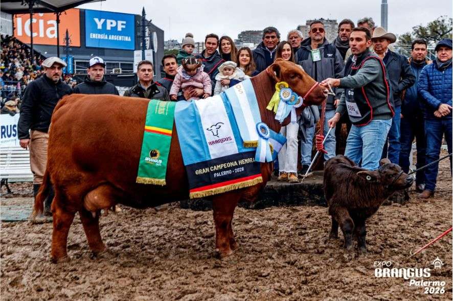 Ganadería Chaqueña