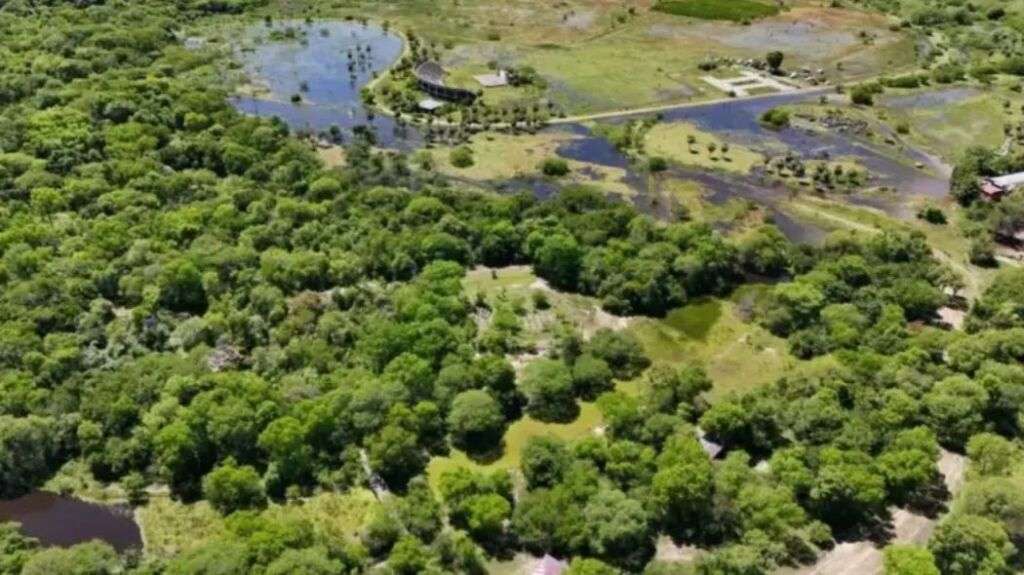 Parque Caraguata