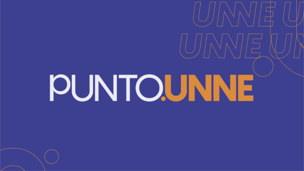 Punto UNNE