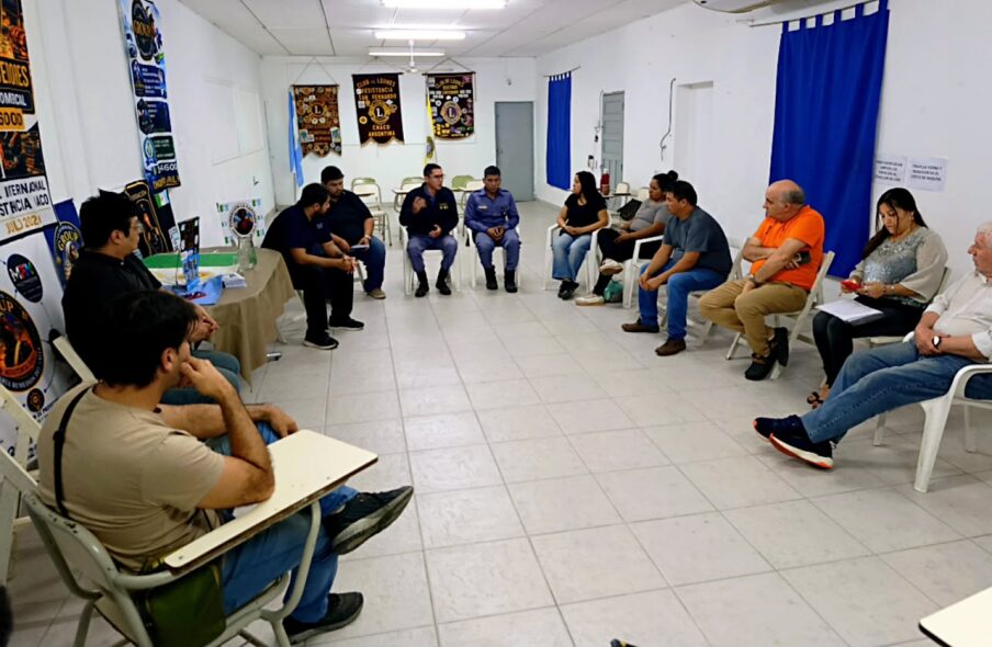 Cub de Leones - Ley de Reiterancia