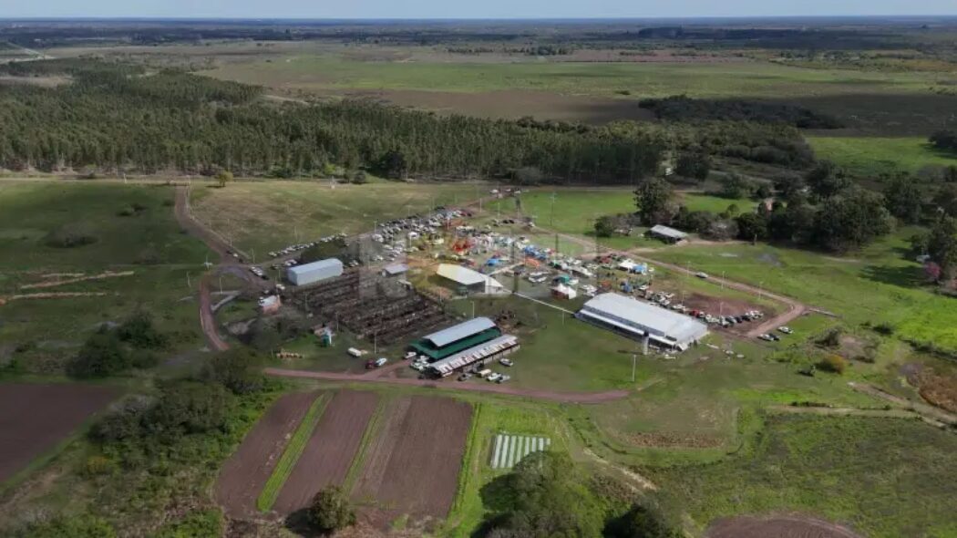 Expo rural Margarita Belén