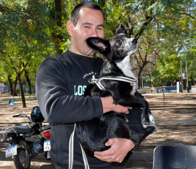 vacunacion de mascotas