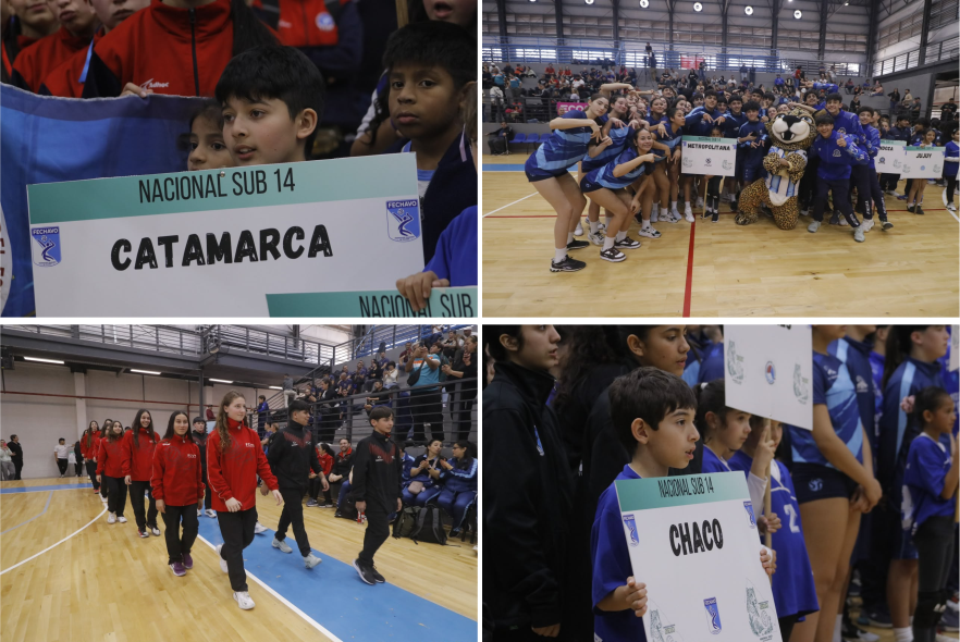voley sub 14