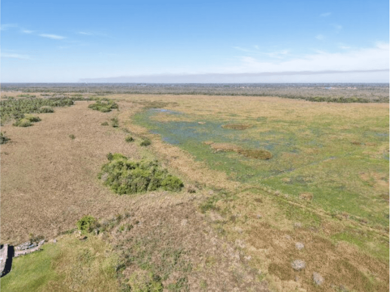 Santa Ana de Guacara Corrientes