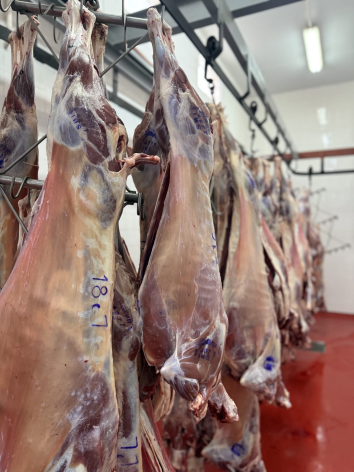 carne caprina