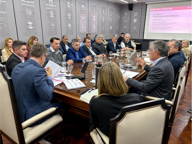 comite de emergencia provincial y gobierno