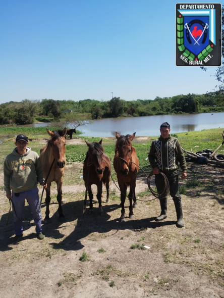 recuperan caballos