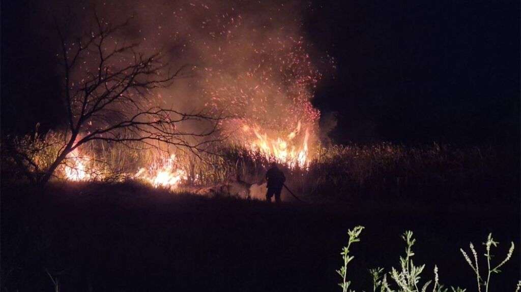 Eduvigis incendio