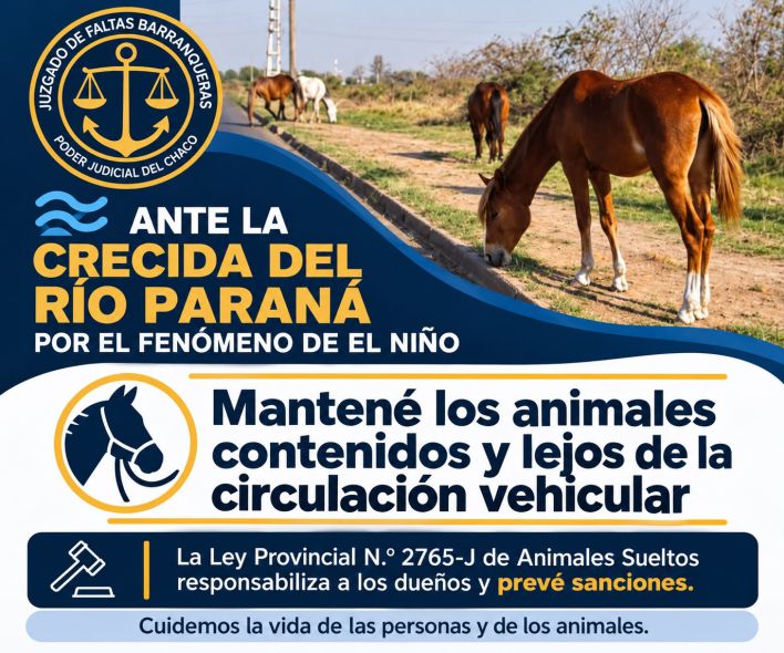 caballos
