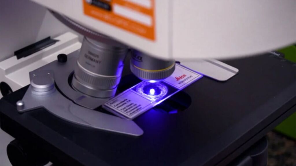 laboratorio